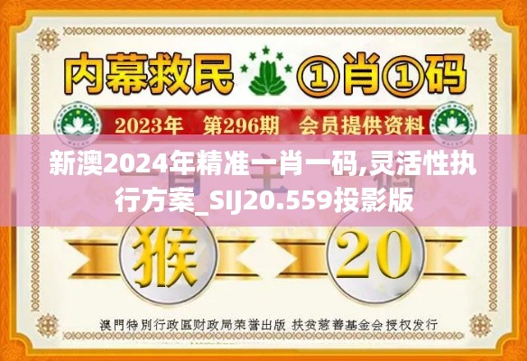 新澳2024年精准一肖一码,灵活性执行方案_SIJ20.559投影版