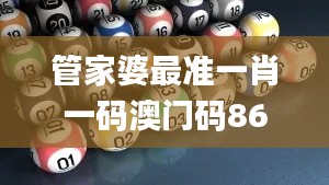 管家婆最准一肖一码澳门码86期,解析解释说法_限量版TKY51.337