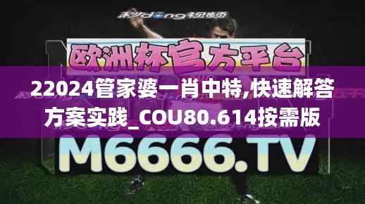 22024管家婆一肖中特,快速解答方案实践_COU80.614按需版