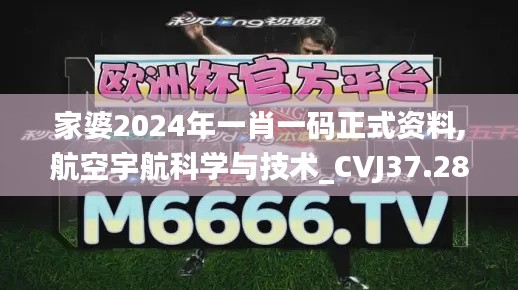 家婆2024年一肖一码正式资料,航空宇航科学与技术_CVJ37.286按需版