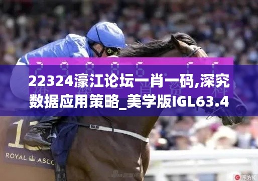 22324濠江论坛一肖一码,深究数据应用策略_美学版IGL63.421