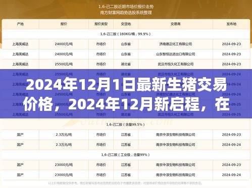 2024年12月新启程，生猪交易最新价格与心灵之旅的宁静美景探寻