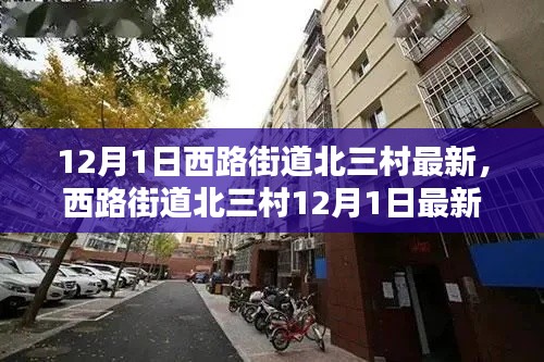 西路街道北三村12月1日最新动态概览，最新消息一览无余