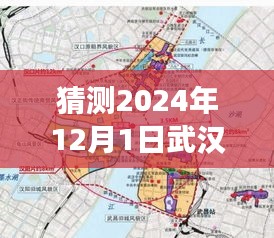 揭秘武汉仁和路未来规划，展望2024年巨变，自信与成就展现新篇章