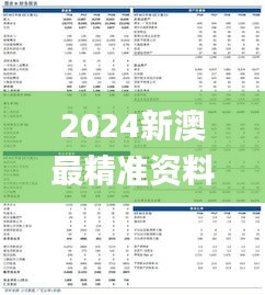 2024新澳最精准资料大全,定性解析明确评估_多功能版ZYY31.899