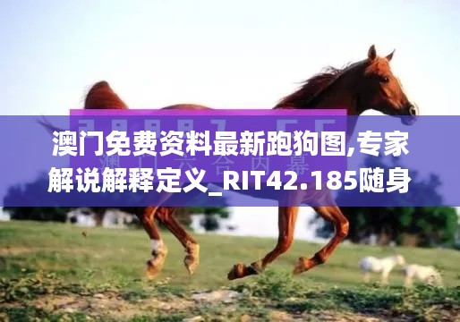 澳门免费资料最新跑狗图,专家解说解释定义_RIT42.185随身版