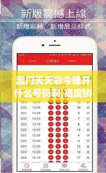 澳门天天彩今晚开什么号码啊,高度协调实施_WEQ97.567计算能力版