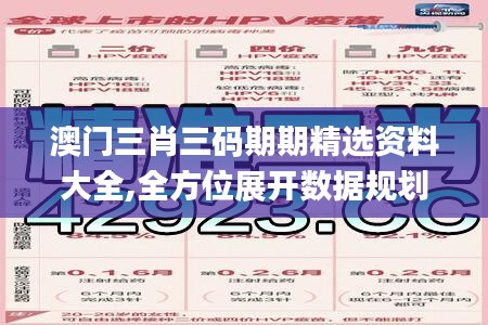 澳门三肖三码期期精选资料大全,全方位展开数据规划_PVG48.231冷静版