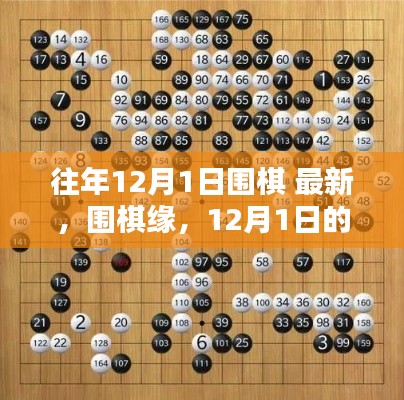 12月1日围棋盛会，棋局温暖，缘分不断