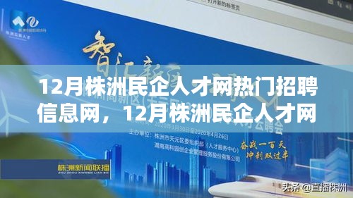 12月株洲民企人才网热门招聘信息解析与网罗