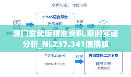 澳门玄武版精准资料,案例实证分析_NLZ37.341便携版