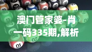 澳门管家婆-肖一码335期,解析解释说法_DZA10.900交互式版