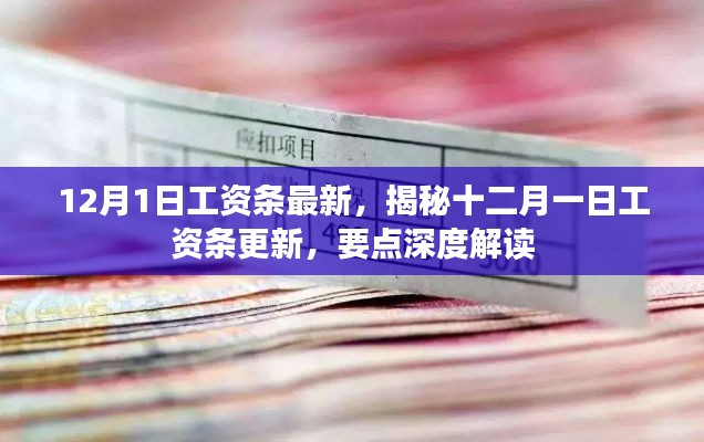 揭秘十二月一日工资条更新深度解读，最新工资条要点解析