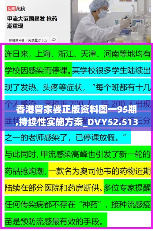 香港管家婆正版资料图一95期,持续性实施方案_DVY52.513测试版