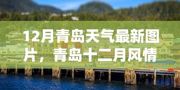 青岛十二月风情，天气与美景最新图鉴图片发布