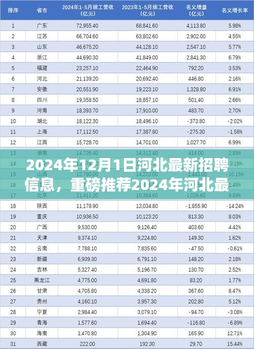 重磅推荐，2024年河北最新招聘信息大揭秘，优质岗位等你来挑战