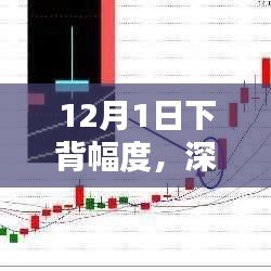 12月1日下背幅度产品深度评测与特性解析