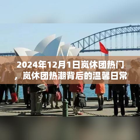 岚休团热潮背后的温馨日常，2024年12月1日的欢乐时光