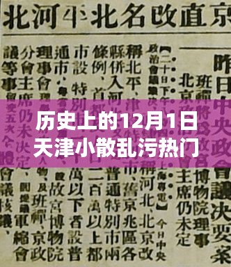 天津小散乱污事件深度解析，历史上的12月1日回顾与热议