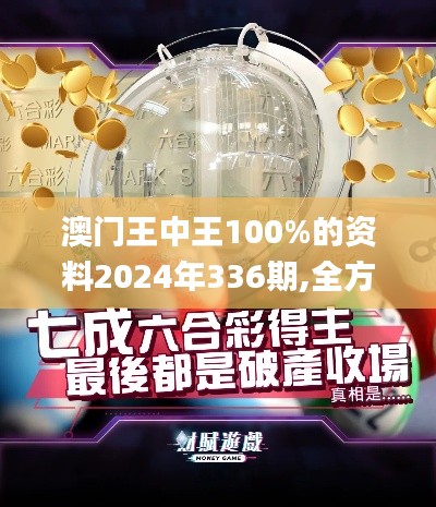 澳门王中王100%的资料2024年336期,全方位展开数据规划_BNW37.481精简版