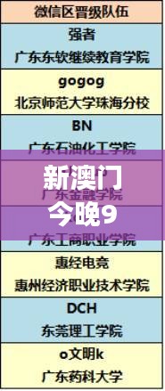 新澳门今晚9点30分,最新碎析解释说法_XUK42.158理想版