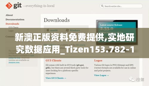 新澳正版资料免费提供,实地研究数据应用_Tizen153.782-1