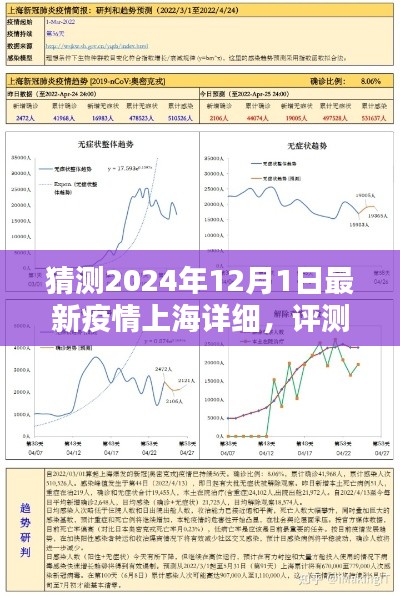 上海最新疫情动态分析报告（2024年12月），疫情趋势预测与评测报告解读