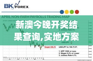 新澳今晚开奖结果查询,实地方案验证_BT15.910-1