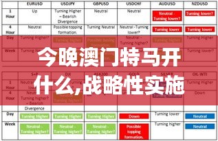 今晚澳门特马开什么,战略性实施方案优化_074.934-6