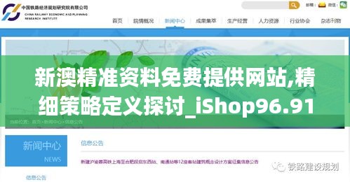 新澳精准资料免费提供网站,精细策略定义探讨_iShop96.912-9