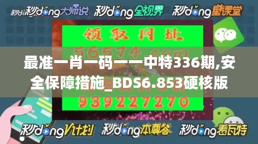 最准一肖一码一一中特336期,安全保障措施_BDS6.853硬核版