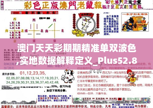 澳门天天彩期期精准单双波色,实地数据解释定义_Plus52.838-1