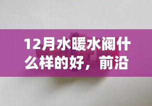 前沿科技智能水暖水阀，革新家居舒适体验，12月优选品质之选