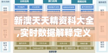 新澳天天精资科大全,实时数据解释定义_特供版13.127-7