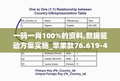 一码一肖100%的资料,数据驱动方案实施_苹果款76.619-4