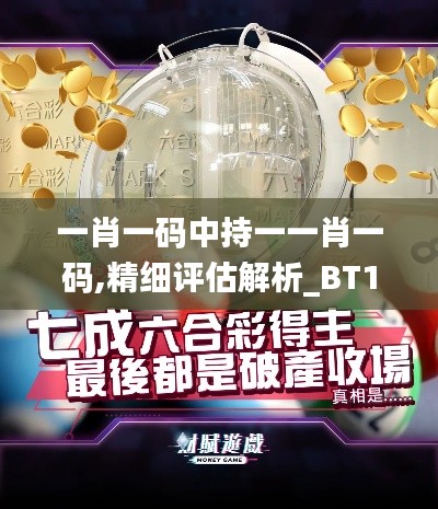 一肖一码中持一一肖一码,精细评估解析_BT184.361-4