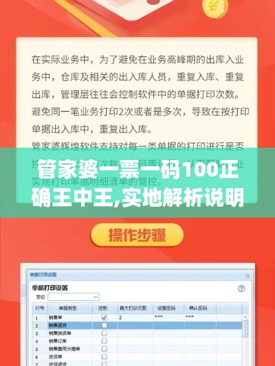 管家婆一票一码100正确王中王,实地解析说明_黄金版124.966-4