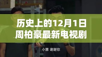 周柏豪主演最新电视剧深度解析与评测，历史上的12月1日回望与前瞻。