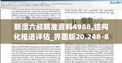 新澳六叔精准资料4988,结构化推进评估_界面版20.248-8