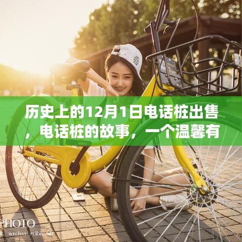 电话桩的故事，回忆之旅中的温馨出售日——历史上的十二月一日