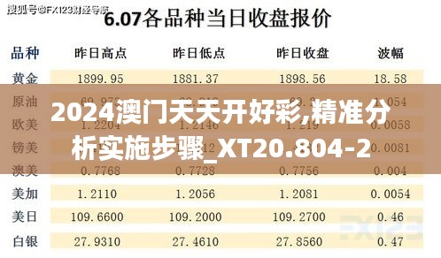 2024澳门天天开好彩,精准分析实施步骤_XT20.804-2