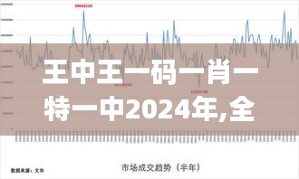 王中王一码一肖一特一中2024年,全面分析说明_投资版53.721-6