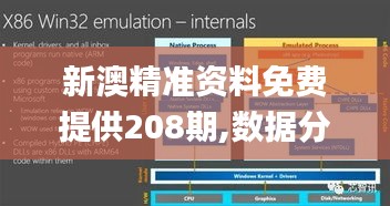 新澳精准资料免费提供208期,数据分析驱动执行_Kindle24.403-8