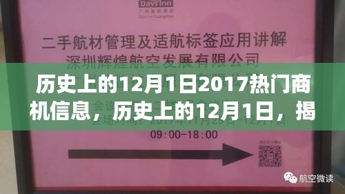 揭秘历史上的12月1日，探寻热门商机背后的故事与启示