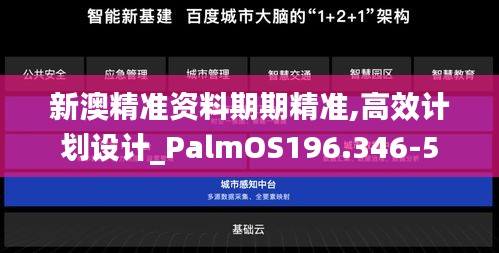 新澳精准资料期期精准,高效计划设计_PalmOS196.346-5