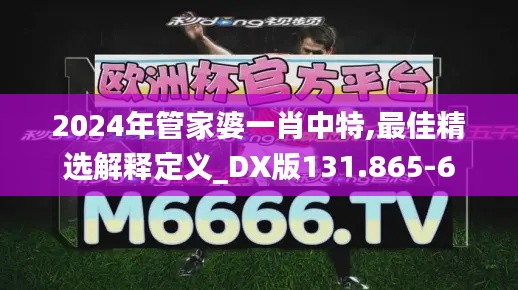 2024年管家婆一肖中特,最佳精选解释定义_DX版131.865-6