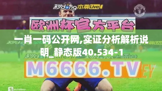 一肖一码公开网,实证分析解析说明_静态版40.534-1