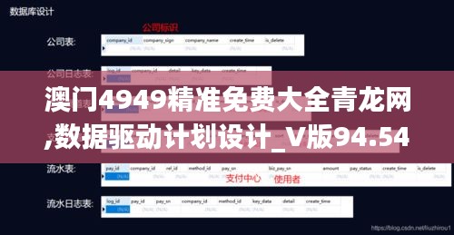 澳门4949精准免费大全青龙网,数据驱动计划设计_V版94.542-5