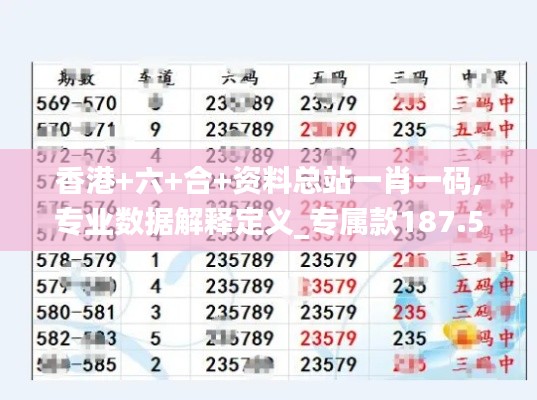 香港+六+合+资料总站一肖一码,专业数据解释定义_专属款187.568-4