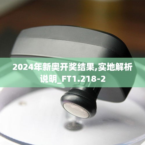 2024年新奥开奖结果,实地解析说明_FT1.218-2